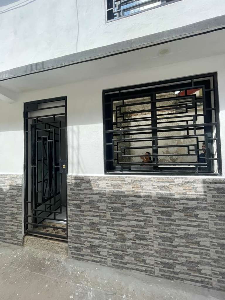 Reja de Seguridad Decorativa "Líneas Paralelas"